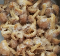 なめこフリーズドライ前